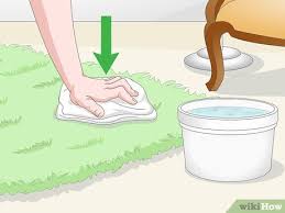 how to find cat urine with a uv light