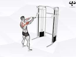 10 functional trainer exercises for