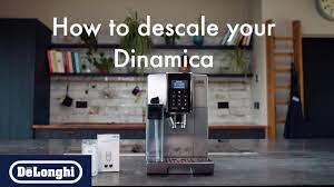 how to descale your dinamica silver