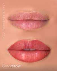 beginner lip blush course ohmybrow