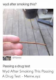 Trending images, videos and gifs related to drug! Wyd After Smoking This Passing A Drug Test Wyd After Smoking This Passing A Drug Test Memexyz Meme On Me Me