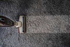 prevent carpet pest