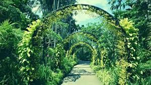 How To Make A Garden Arch Out Of Pvc