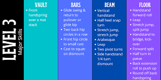 developmental program levels in gymnastics