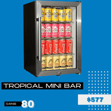 Tropical Mini Bar Kegs Off Tap