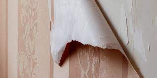 removing wallpaper from drywall h d f