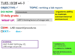 Science Lab Report Template   Fill in the Blanks