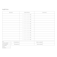 Audit Form Example