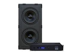 Svs 3000 In Wall Subwoofer Incl Sta