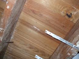 mold infestation on wood with borax