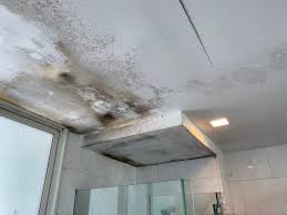remove mould from bathroom ceilings