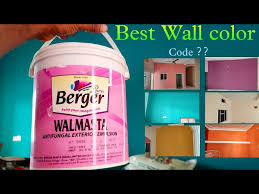 Interior Wall Painting Berger Paint