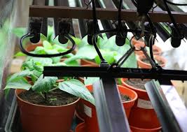 Diy Indoor Grow Light Inexpensive Way To Growing An Indoor Garden