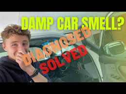 remove that d smell from your car