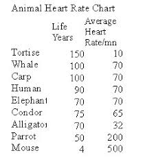 Studious Animal Heart Rate Chart Heart Rates In Different