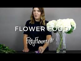 Flower Food How And When To Use It