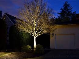 Landscape Lighting Tree Uplighting