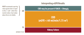 Quick Reference On Uacr Gfr Niddk