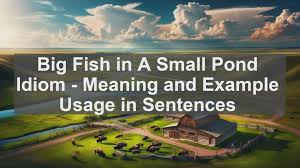 fish in a small pond idiom meaning