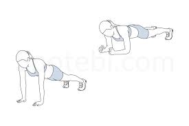 Up Down Plank Illustrated Exercise Guide