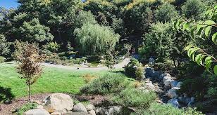 anese friendship garden at balboa park