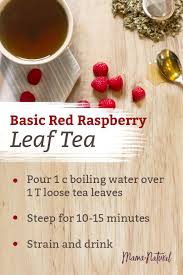 red raspberry leaf tea recipes you ll