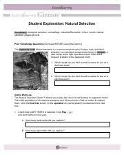 Prior knowledge questions (do these before using the gizmo.) fitness describes how well an organism can survive and reproduce in an environment. Natural Selection Gizmo Pdf Student Exploration Natural Selection Vocabulary U200b U200b Biological Evolution Camouflage Industrial Revolution Lichen Morph Course Hero
