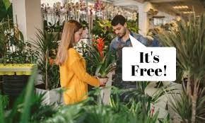 How To Get Houseplants For Free House