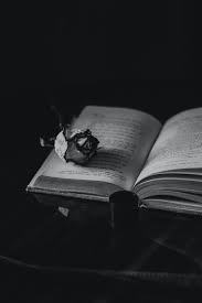 Black and white books intend to help a child in developing knowledge about a particular skill or subject without losing the grip of enjoyment. Grayscale Photo Of Opened Book Photo Free Book Image On Unsplash