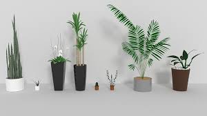 Indoor Plants Free 3d Model Cgtrader