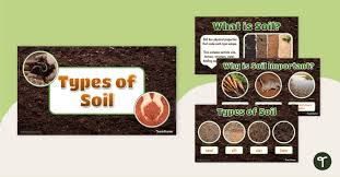 types of soil teaching presentation