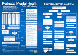 Perinatal Mental Health Meta4rn