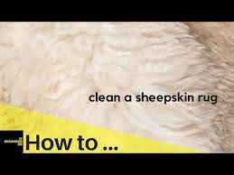 how to clean a sheepskin rug so easy