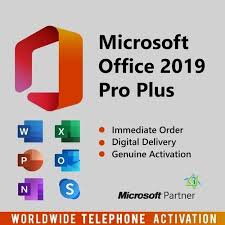 ms office pp 2019 bind key at rs 1799
