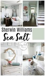 sherwin williams sea salt gorgeous