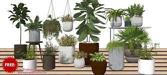 17 Sketchup 3d Plants