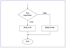 If And Else Statement Programming Logic