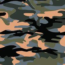 Fashionable Camouflage Pattern Vector