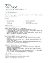 The resume personal statement hooks in a reader, converts them to read more of the resume. Personal Assistant Resume Examples Administrative