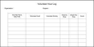 mering volunteer hours log from