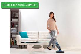 house dusting and cleaning services