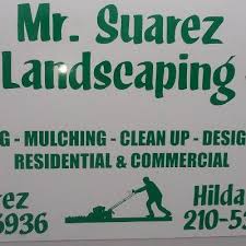 Mowing crews showed up and gave lawn. The 10 Best Lawn Care Services In San Antonio Tx With Free Quotes