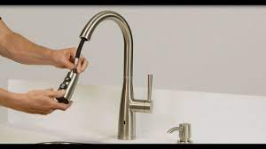 raya touchless kitchen faucet
