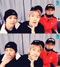 v report exo cbx starts blooming days