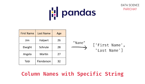 pandas find column names that contain