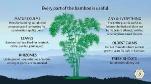 bamboo utility using every part of the