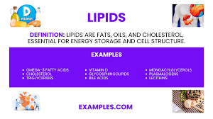 lipids exles