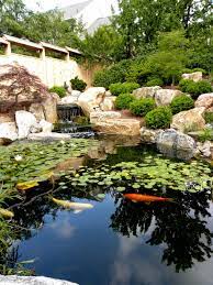 Japanese Inspired Garden With Koi Pond