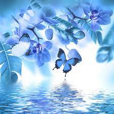 Blue Orchid Flower Erfly Wall Mural