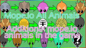 Mope Io All Animals Io S Animals Animals Pets Cute